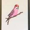 Petra Boase Pink Budgie Print