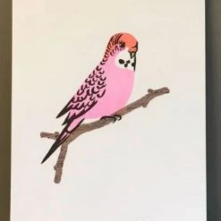 Petra Boase Pink Budgie Print