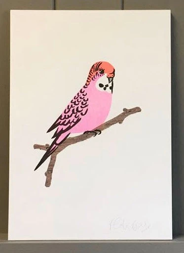 Petra Boase Pink Budgie Print 1 Petra Boase Pink Budgie Print