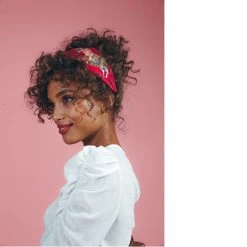 Powder Zebra Carnival Headband