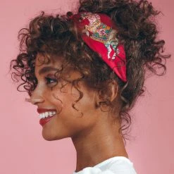 Powder Zebra Carnival Headband