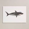 Petra Boase Shark A4 Print
