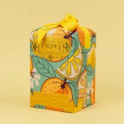 Powder Citrus Fruit Neck Scarf