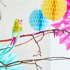 Petra Boase Assorted Feather Bird Clips Gift Box - Set of Six