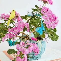 Petra Boase Assorted Feather Bird Clips Gift Box - Set of Six