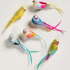 Petra Boase Assorted Feather Bird Clips Gift Box - Set of Six